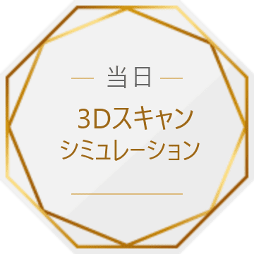 当日3Dスキャンシミュレーション