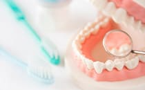 予防歯科/クリーニング